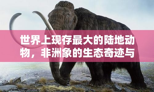世界上现存最大的陆地动物，非洲象的生态奇迹与生存挑战