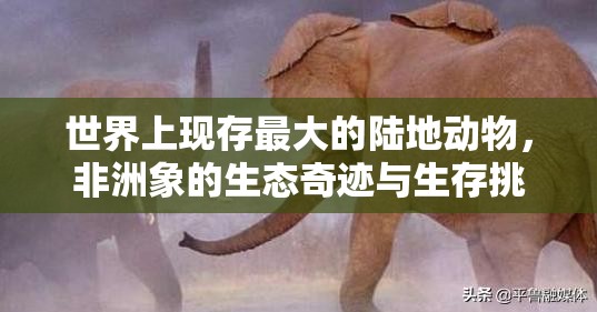 世界上现存最大的陆地动物，非洲象的生态奇迹与生存挑战