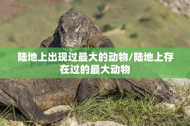 陆地上出现过最大的动物/陆地上存在过的最大动物