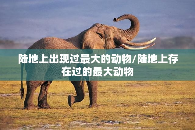 陆地上出现过最大的动物/陆地上存在过的最大动物