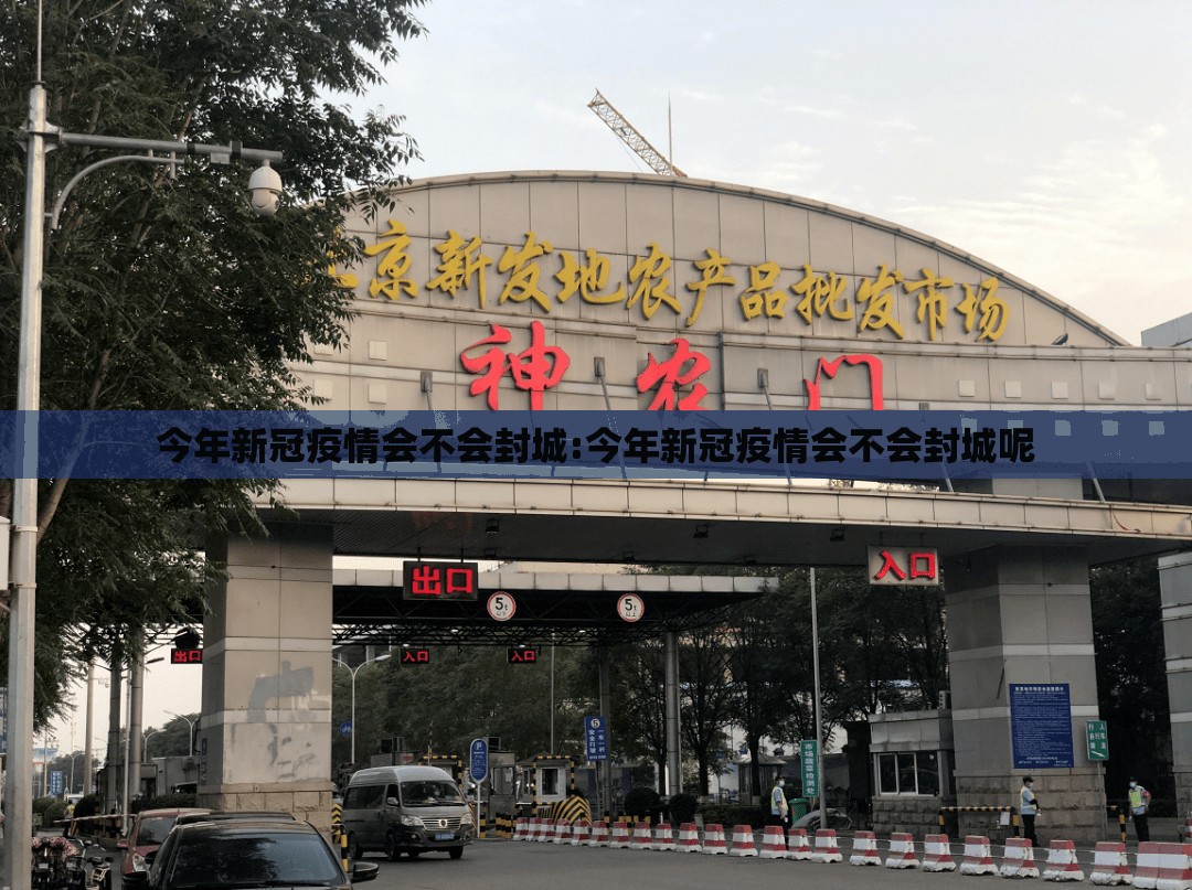 今年新冠疫情会不会封城:今年新冠疫情会不会封城呢