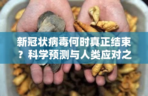 新冠状病毒何时真正结束？科学预测与人类应对之路