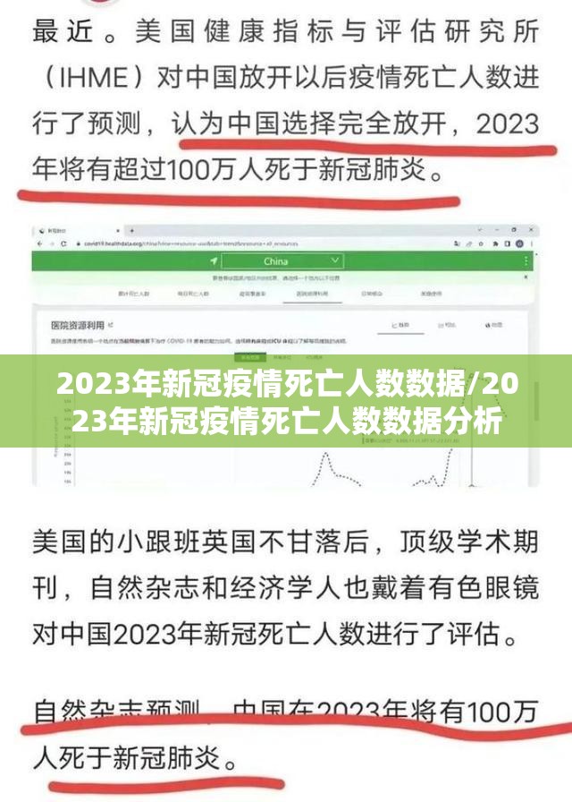 2023年新冠疫情死亡人数数据/2023年新冠疫情死亡人数数据分析