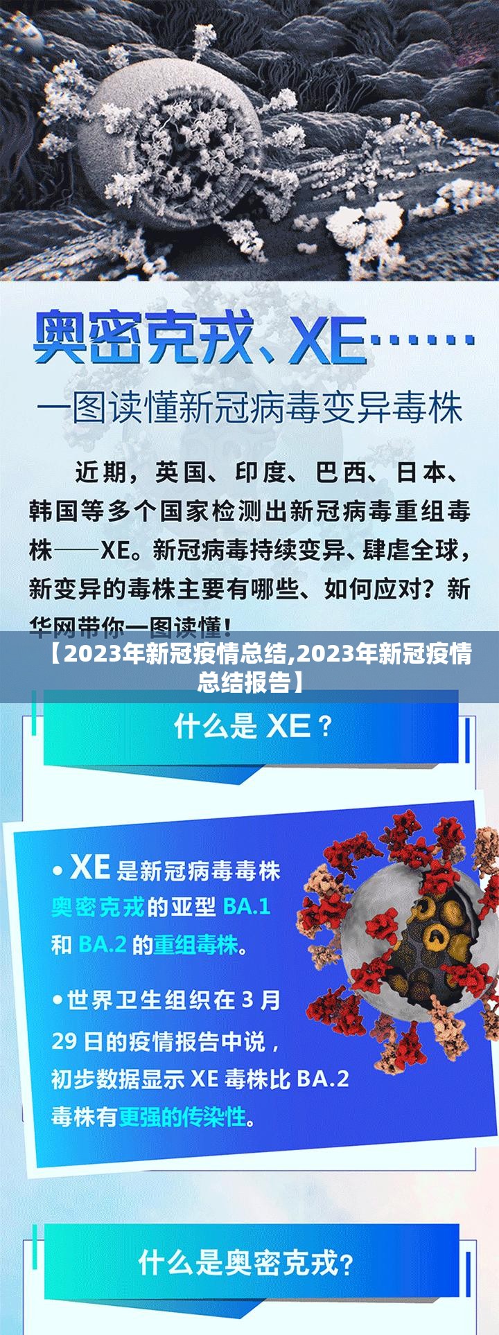 【2023年新冠疫情总结,2023年新冠疫情总结报告】