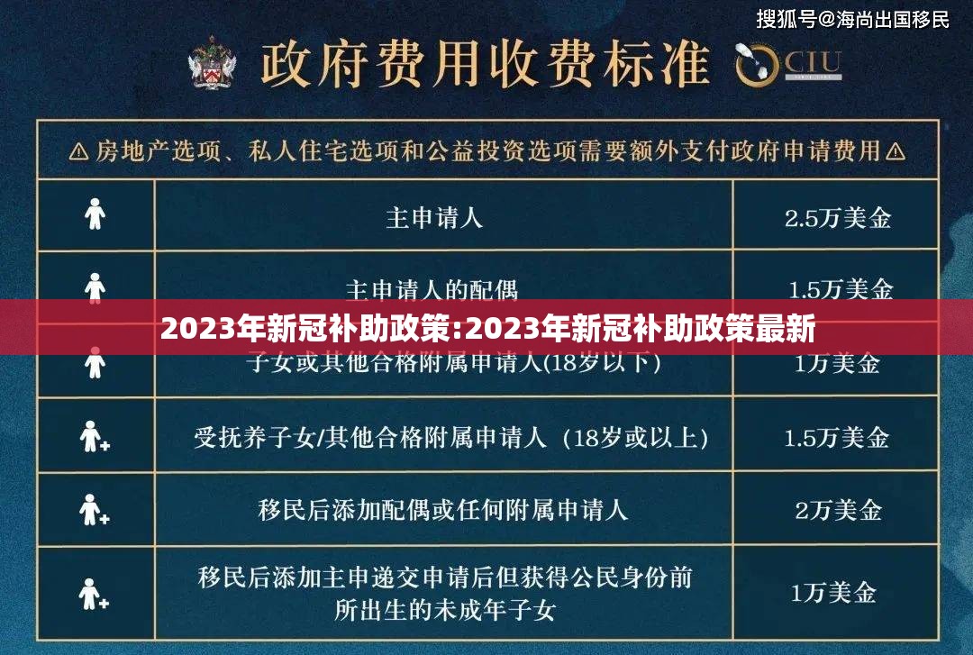 2023年新冠补助政策:2023年新冠补助政策最新