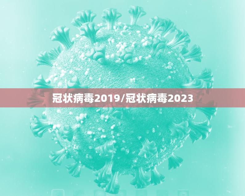 冠状病毒2019/冠状病毒2023