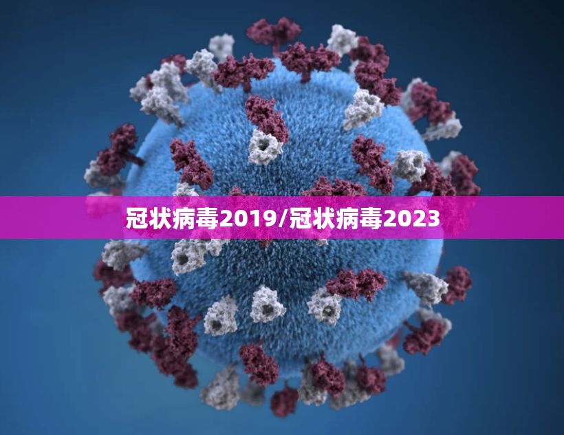 冠状病毒2019/冠状病毒2023