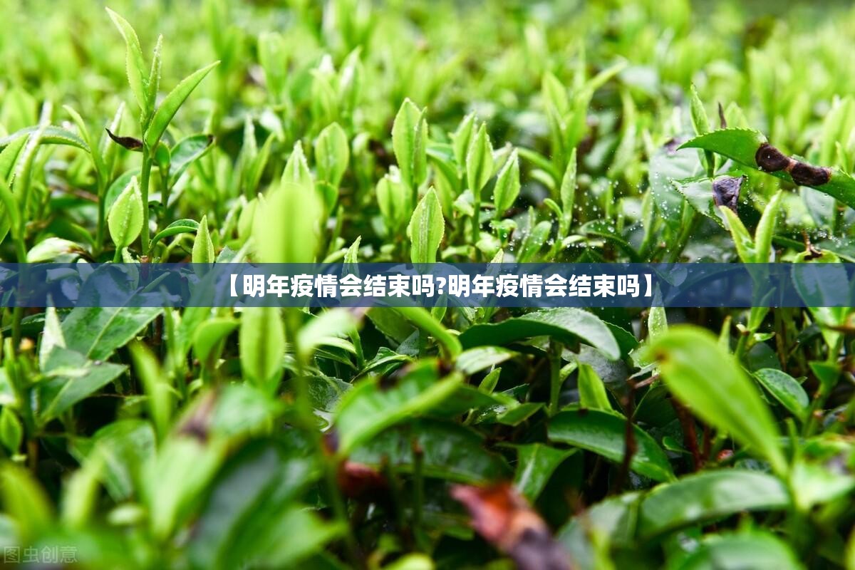 【明年疫情会结束吗?明年疫情会结束吗】