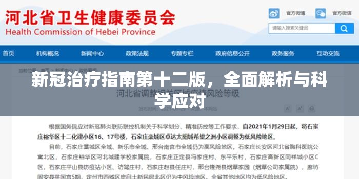 新冠治疗指南第十二版，全面解析与科学应对