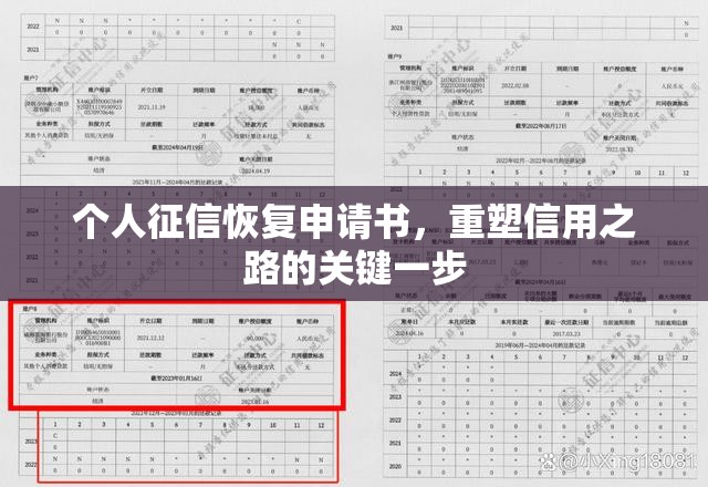 个人征信恢复申请书，重塑信用之路的关键一步