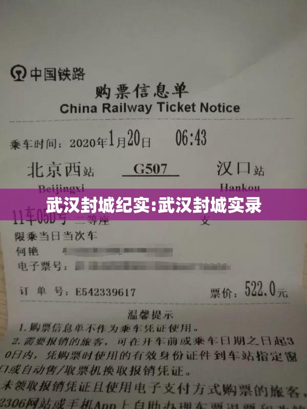 武汉封城纪实:武汉封城实录