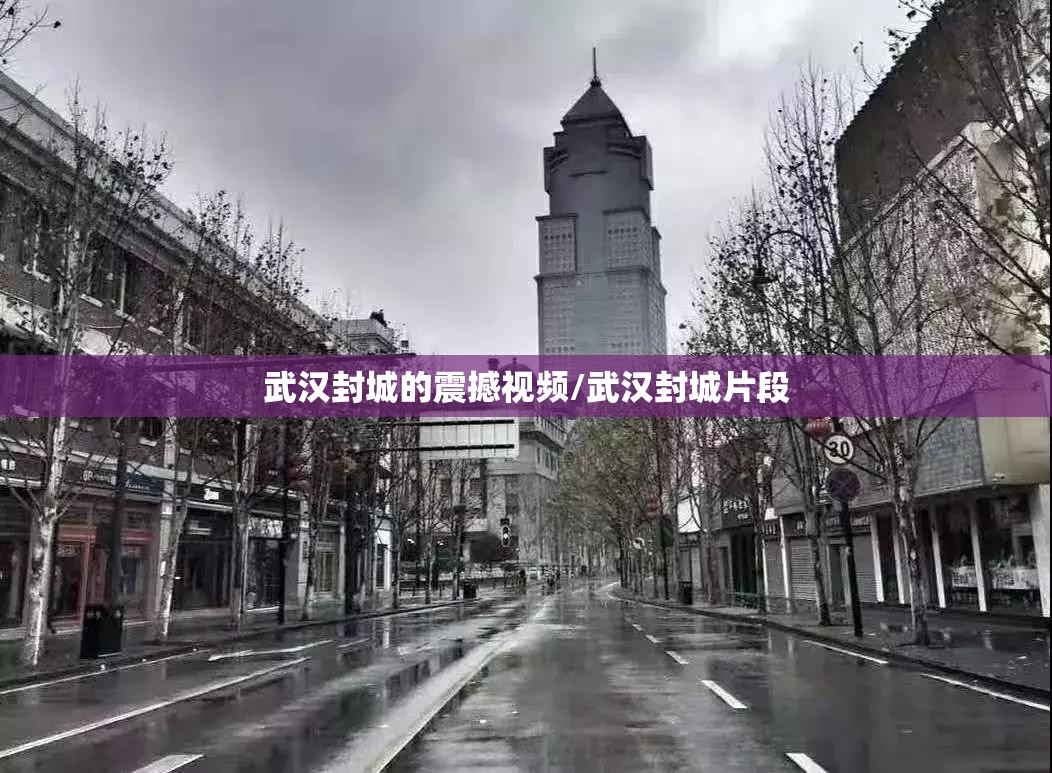 武汉封城的震撼视频/武汉封城片段