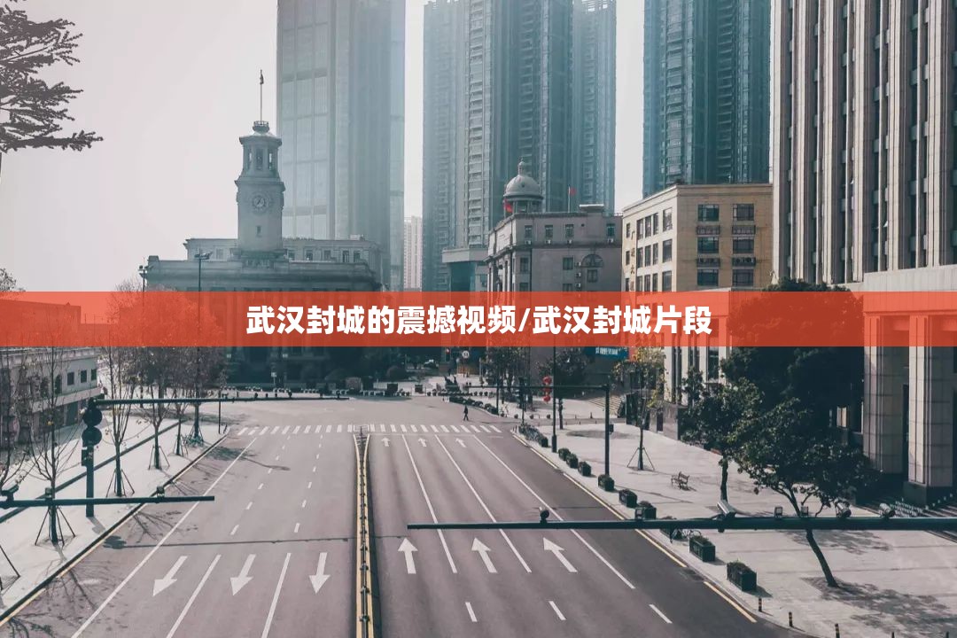 武汉封城的震撼视频/武汉封城片段