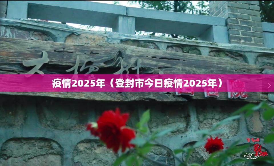 疫情2025年（登封市今日疫情2025年）