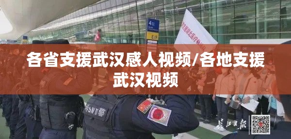 各省支援武汉感人视频/各地支援武汉视频