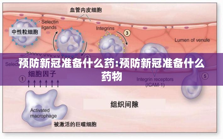 预防新冠准备什么药:预防新冠准备什么药物