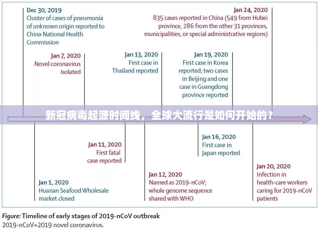 新冠病毒起源时间线，全球大流行是如何开始的？
