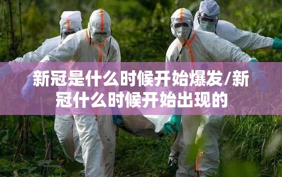 新冠是什么时候开始爆发/新冠什么时候开始出现的
