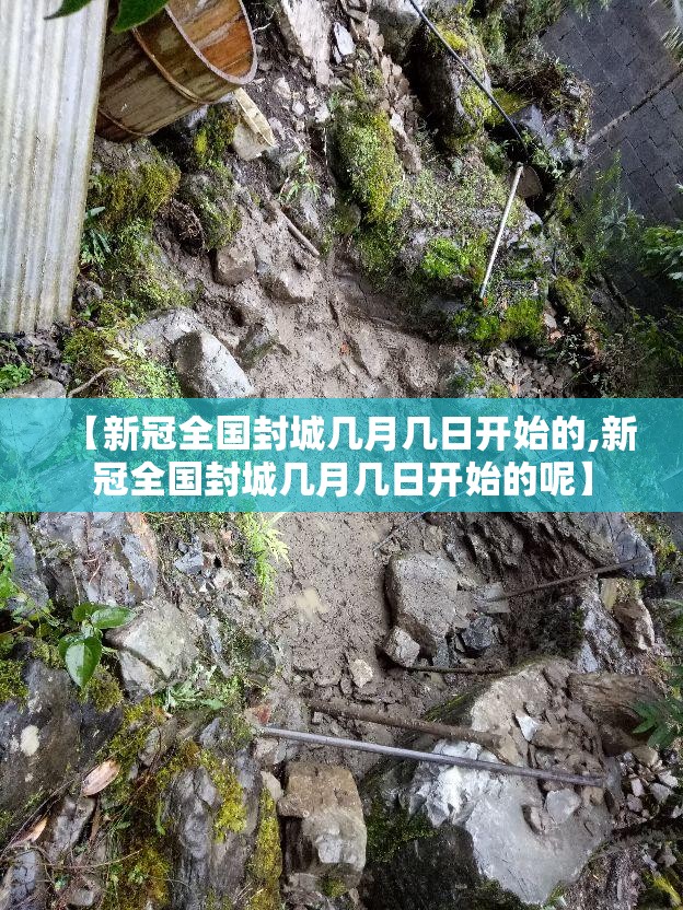 【新冠全国封城几月几日开始的,新冠全国封城几月几日开始的呢】