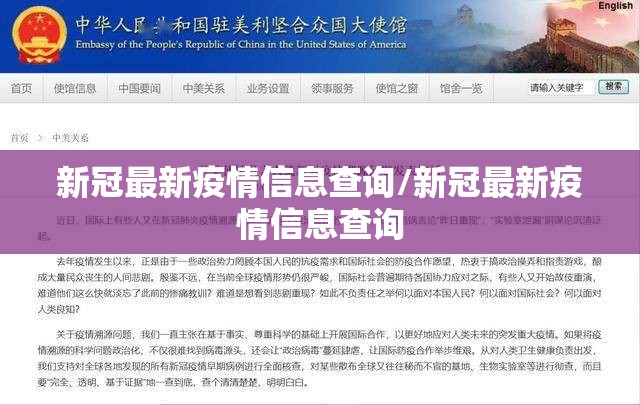 新冠最新疫情信息查询/新冠最新疫情信息查询