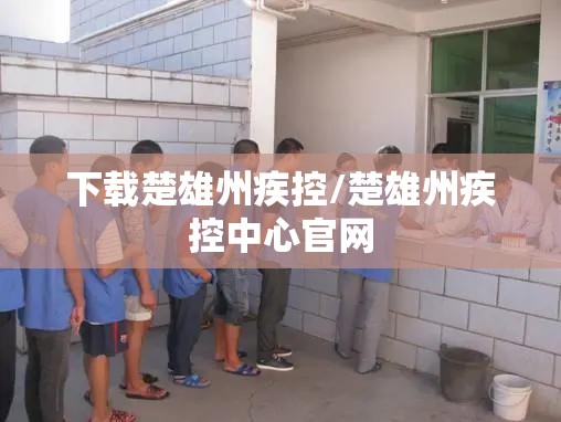 下载楚雄州疾控/楚雄州疾控中心官网