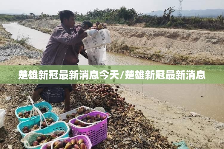 楚雄新冠最新消息今天/楚雄新冠最新消息