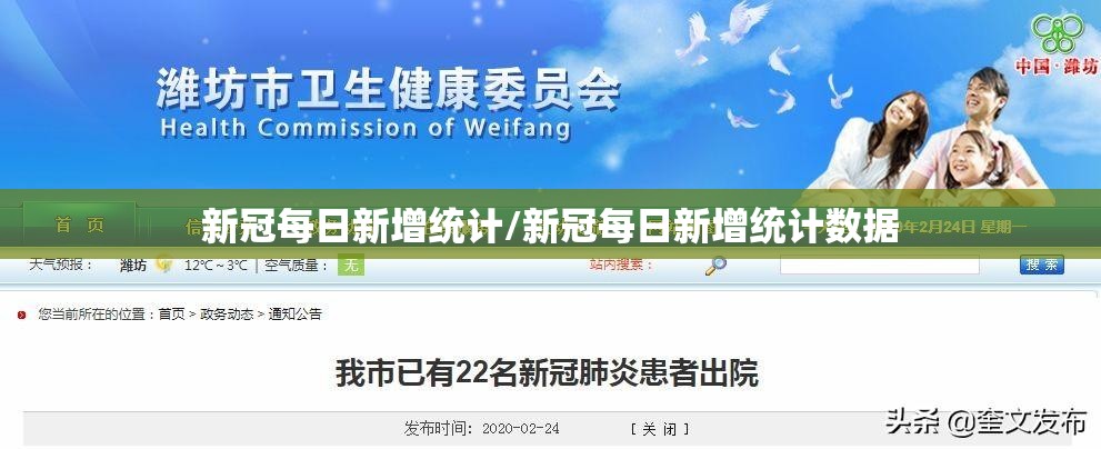 新冠每日新增统计/新冠每日新增统计数据