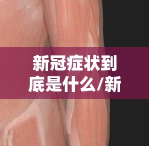 新冠症状到底是什么/新冠症状到底是什么样子的