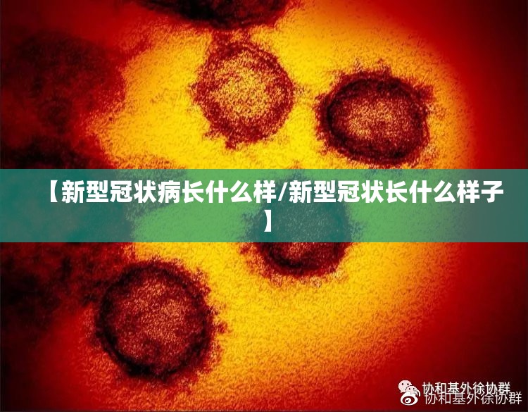 【新型冠状病长什么样/新型冠状长什么样子】