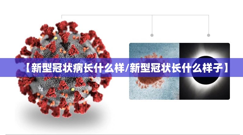【新型冠状病长什么样/新型冠状长什么样子】