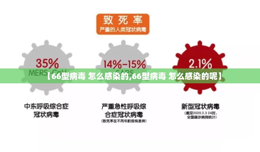 【66型病毒 怎么感染的,66型病毒 怎么感染的呢】