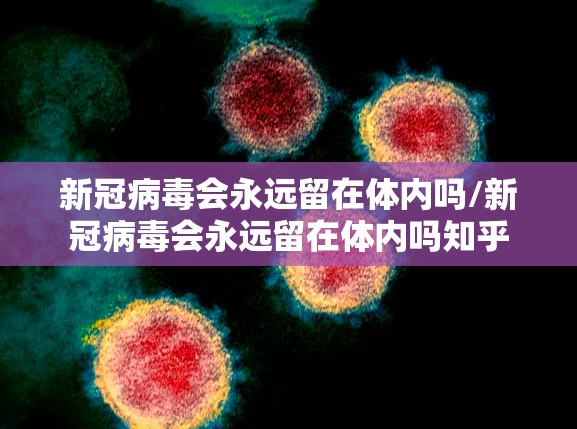 新冠病毒会永远留在体内吗/新冠病毒会永远留在体内吗知乎