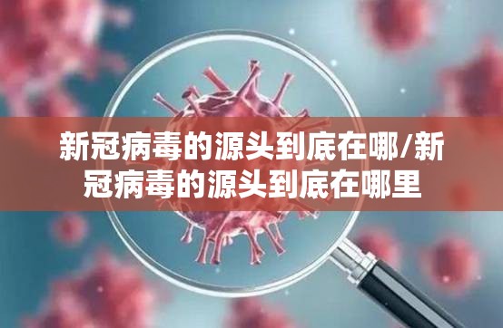 新冠病毒的源头到底在哪/新冠病毒的源头到底在哪里