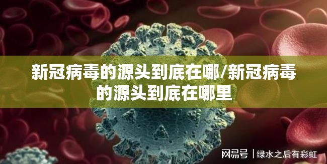 新冠病毒的源头到底在哪/新冠病毒的源头到底在哪里