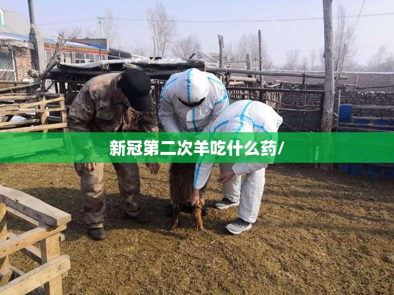 新冠第二次羊吃什么药/