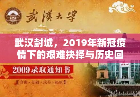 武汉封城，2019年新冠疫情下的艰难抉择与历史回响
