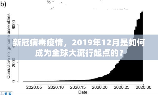 新冠病毒疫情，2019年12月是如何成为全球大流行起点的？