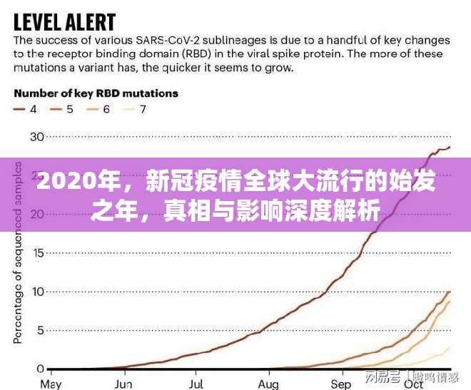 2020年，新冠疫情全球大流行的始发之年，真相与影响深度解析