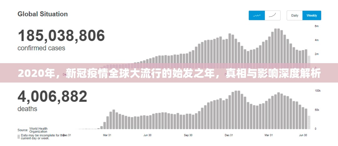 2020年，新冠疫情全球大流行的始发之年，真相与影响深度解析