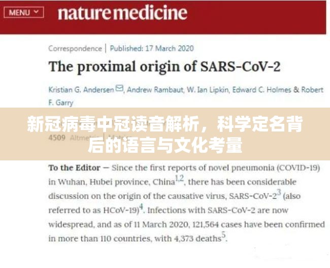 新冠病毒中冠读音解析，科学定名背后的语言与文化考量