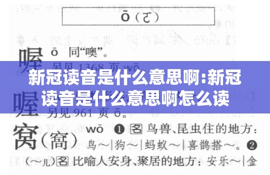 新冠读音是什么意思啊:新冠读音是什么意思啊怎么读