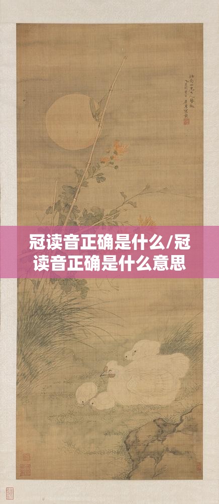 冠读音正确是什么/冠读音正确是什么意思