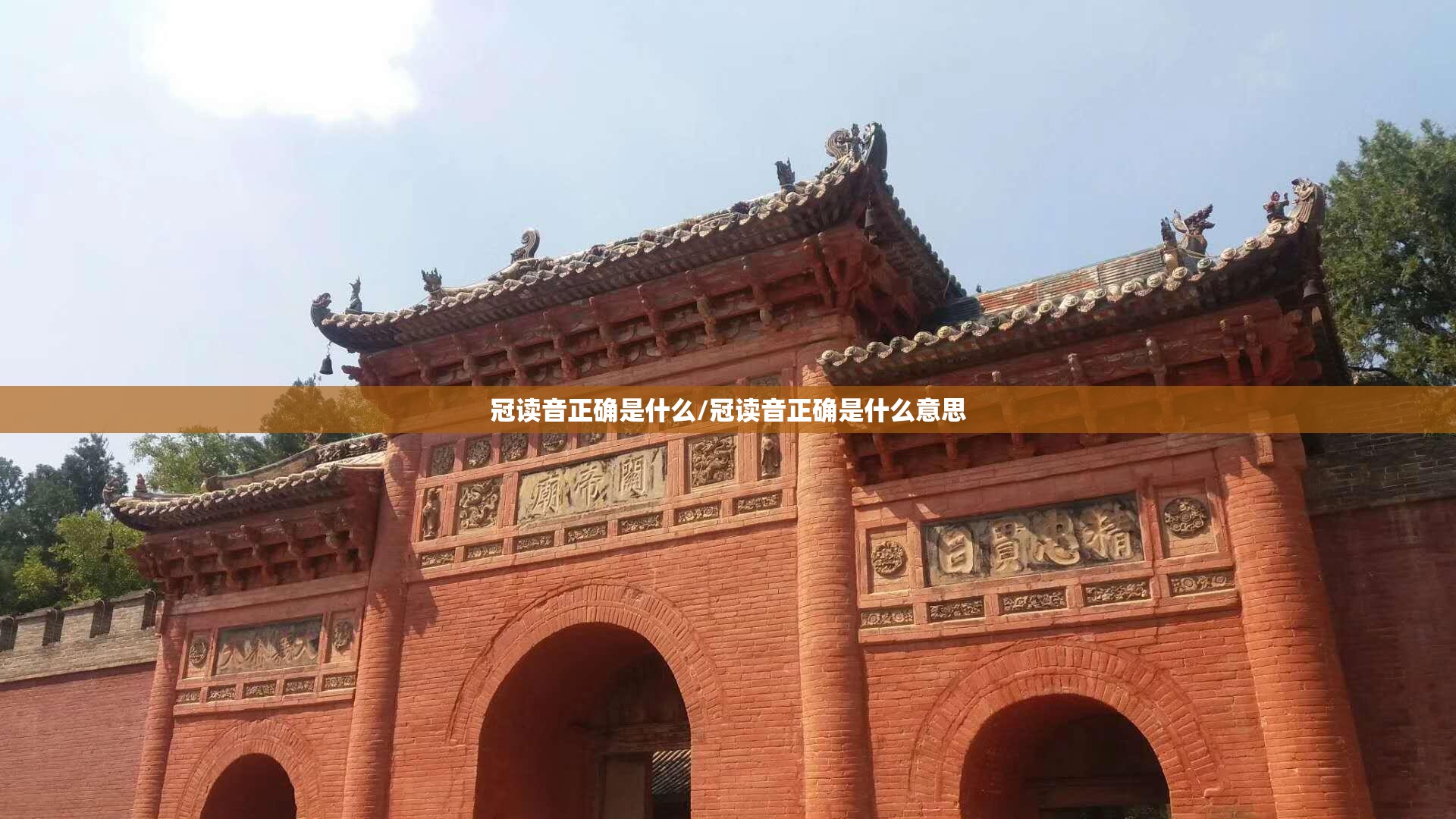 冠读音正确是什么/冠读音正确是什么意思