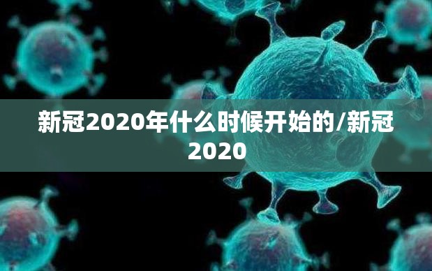 新冠2020年什么时候开始的/新冠2020