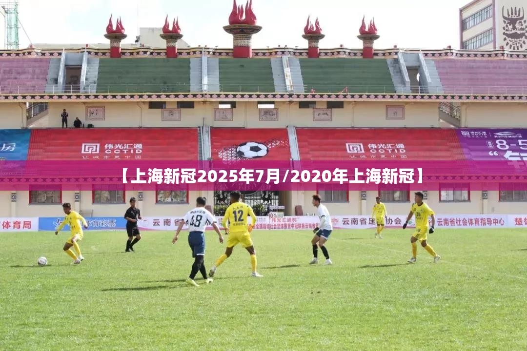 【上海新冠2025年7月/2020年上海新冠】