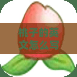 桃子的英文怎么写？揭秘Peach背后的文化内涵与实用指南
