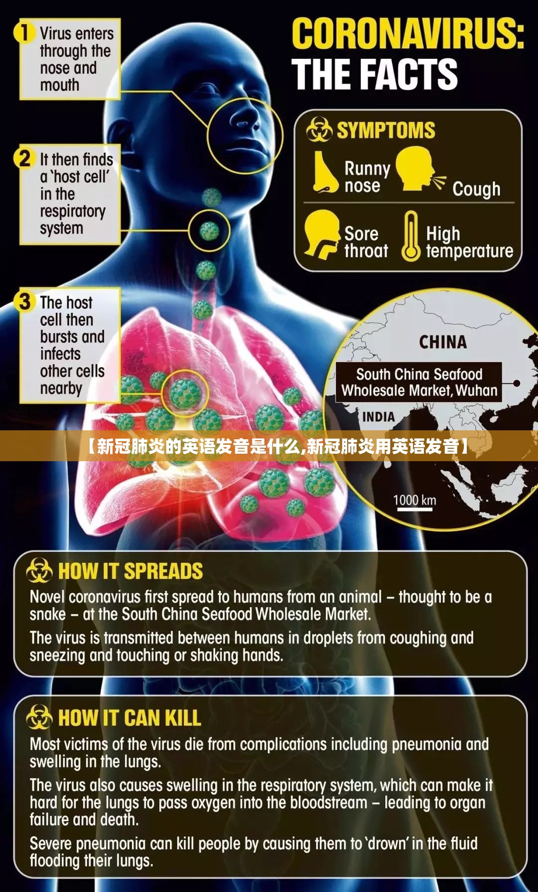 【新冠肺炎的英语发音是什么,新冠肺炎用英语发音】