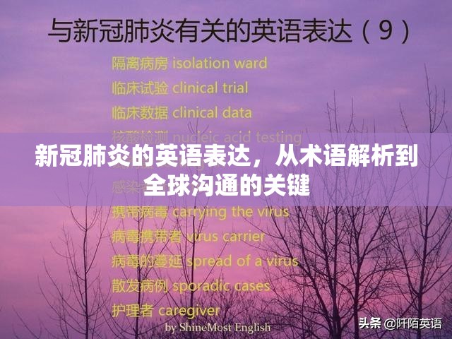 新冠肺炎的英语表达，从术语解析到全球沟通的关键