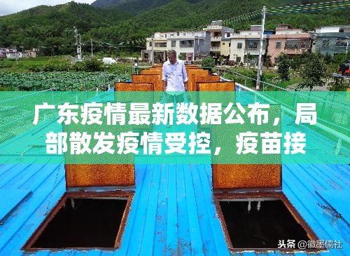 广东疫情最新数据公布，局部散发疫情受控，疫苗接种加速推进