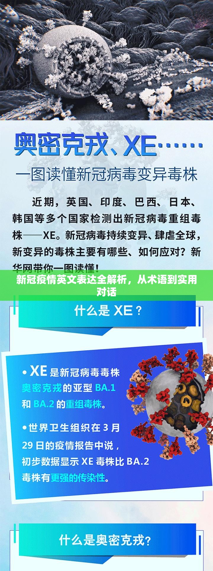 新冠疫情英文表达全解析，从术语到实用对话